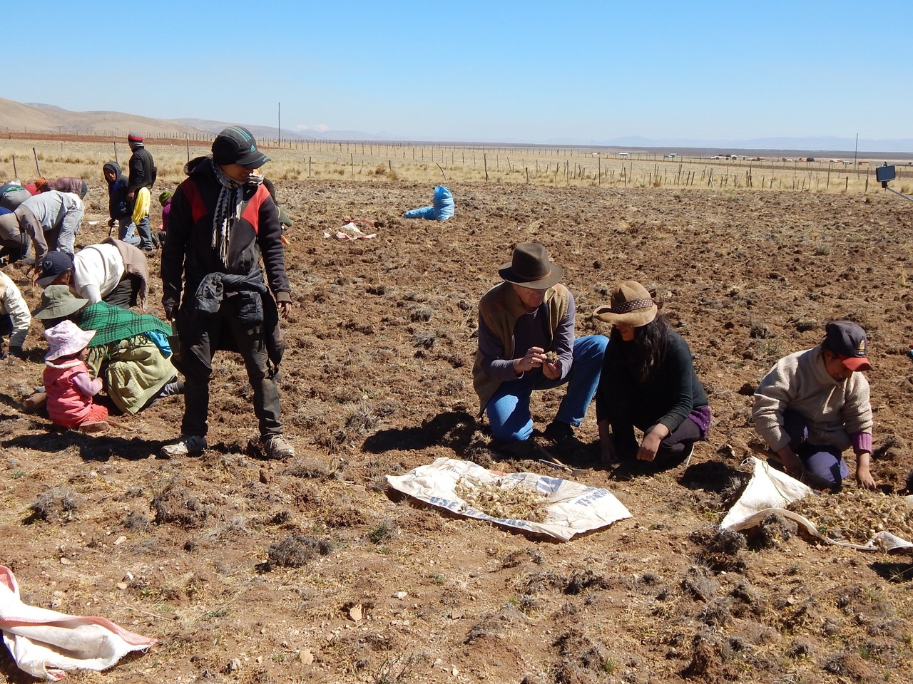 David Bunting with maca farmers in peru