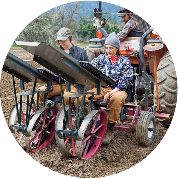 Interns working the seedling planter machinery